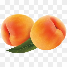 Fruit Peach Transprent Png Free Download - Durazno Png, Transparent Png - jamun png
