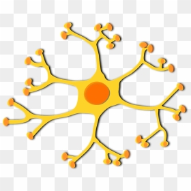 Brain Cells Clipart, HD Png Download - nucleus png