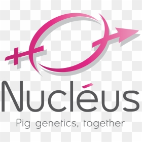Logo Nucléus, HD Png Download - nucleus png