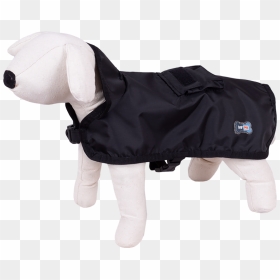Raincoat Dog Cape - Companion Dog, HD Png Download - black cape png