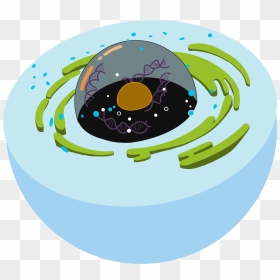The Origin Of The Nucleus - Graphic Design, HD Png Download - nucleus png