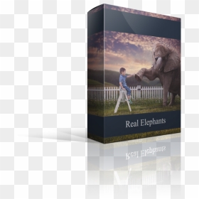 Picture - Carton, HD Png Download - dust overlay png
