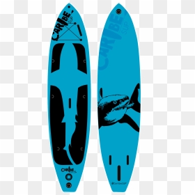 Paddle Board Png - Surfboard, Transparent Png - surfing png