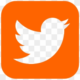 Twitter Logo Button - Twitter App Logo Size, HD Png Download - twitter button png