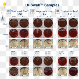 Types Of Streaking Patterns , Png Download - Eye Shadow, Transparent Png - blood streak png