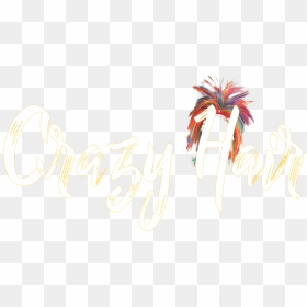 Fete Posters Crazy Hair, HD Png Download - crazy hair png