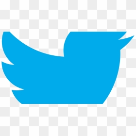 Transparent Twitter Bird Logo Png Transparent - Twitter Logo In Png Only, Png Download - red twitter logo png