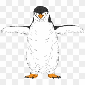 Adã©lie Penguin, HD Png Download - feliz cumpleanos png