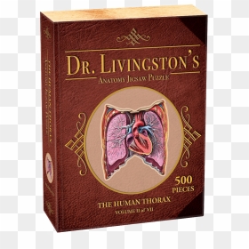 Dr Livingston's Anatomy Jigsaw Puzzles Volume Ii, HD Png Download - jigsaw png