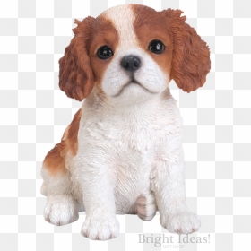 King Charles Puppy Dog Vivid Arts Pet Pals Brown - Tall Is A King Charles Spaniel Puppy, HD Png Download - puppy dog pals png