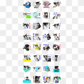 Sticker Of A Kawaii Cat - British Shorthair, HD Png Download - kawaii cat png