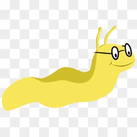 Banana Slug Clipart - Banana Slug Clip Art, HD Png Download - slug png
