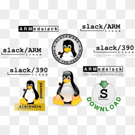 Adã©lie Penguin, HD Png Download - linux png
