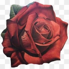 #tatuaje #rosa #flor #freetoedit - Garden Roses, HD Png Download - tatuajes png