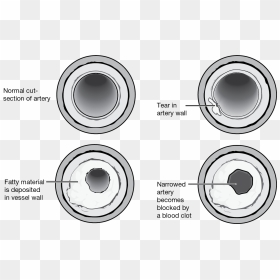 Circle, HD Png Download - blood streak png