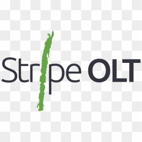 Stripe Olt, HD Png Download - stripe logo png