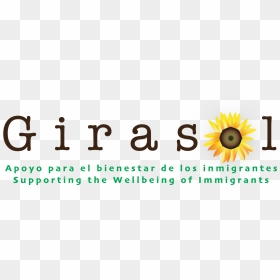 Sunflower, HD Png Download - girasol png