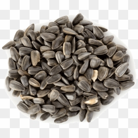 Thumb Image - Sunflower Seeds In Urdu, HD Png Download - girasol png