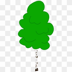 Birch Tree Clipart Free Image Royalty Free Stock Birch - Birch Clipart, HD Png Download - birch png