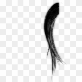 Hair - Sketch, HD Png Download - hair brush png