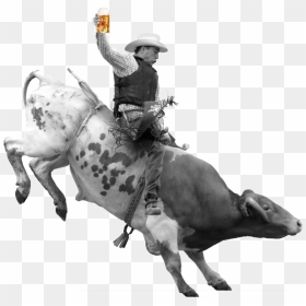 Bull Riding Png, Picture - Rodeo Bull Riding Black, Transparent Png - rodeo png