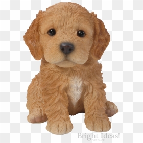 Cockapoo Vivid Arts Pet Pals Puppy Dog Real Life - Cockerpoo Puppy, HD Png Download - puppy dog pals png