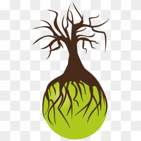 Tree Roots Background Transparent Png, Png Download - birch png