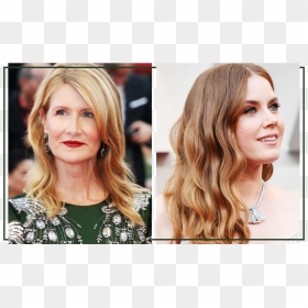 Laura Dern And Amy Adams - Оскар 2019 Червен Килим, HD Png Download - hbo png