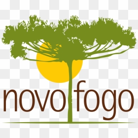 Novo Fogo Logo, HD Png Download - fogo png