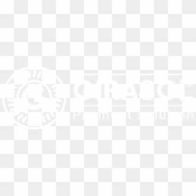Girasol - Law T Shirt Design, HD Png Download - girasol png