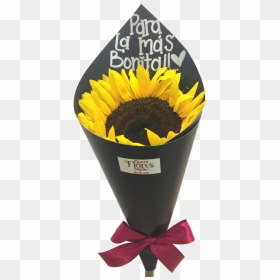 Ramo De Un Girasol , Png Download - Sunflower, Transparent Png - girasol png