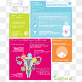 Uf Png , Png Download - Brochure, Transparent Png - uf png
