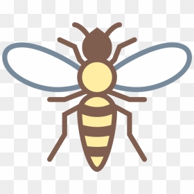 This Is An Image Of A Hornet - Honeybee, HD Png Download - wasp png