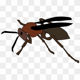 Cartoon Paper Wasp , Png Download - Paper Wasp Cartoon, Transparent Png - wasp png