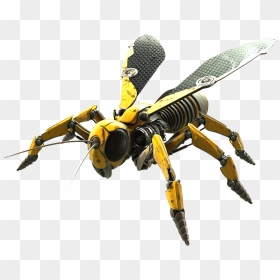 Wasp Png Photo - Png Robot Insect, Transparent Png - wasp png