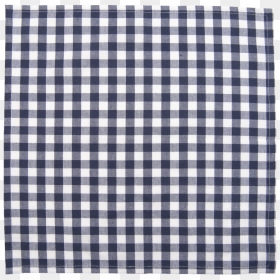 Napkin Picknick, Blue - Blue And White Checkered Cloth, HD Png Download - checkered pattern png