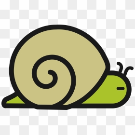 Snail,area,symbol - Snail Shell Line Art, HD Png Download - slug png