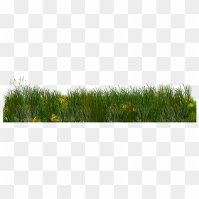 Grass Meadow Png, Transparent Png - meadow png