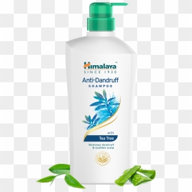 Anti Hair Fall Shampoo Himalaya, HD Png Download - shampoo png