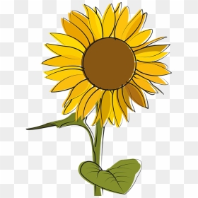 Sunflower, HD Png Download - girasol png