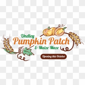 Undley Pumpkin Patch & Maize Maze, HD Png Download - pumpkin patch png