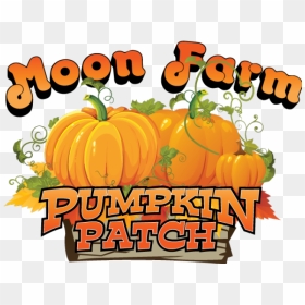 Haunted Clipart Pumpkin Patch - Pumpkin Patch Logo, HD Png Download - pumpkin patch png