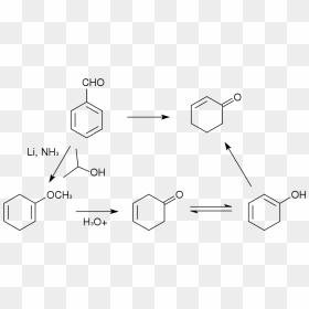 Reduction De Birch, HD Png Download - birch png