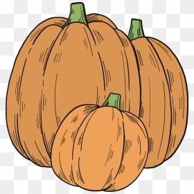 Pumpkin Patch Clipart - Pumpkin, HD Png Download - pumpkin patch png