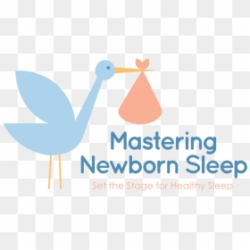 Mastering Newborn Sleep Logo With Tag - Foot Step, HD Png Download - newborn png