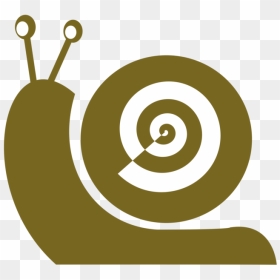 Snail,brand,snails And Slugs - Portable Network Graphics, HD Png Download - slug png