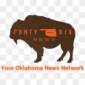 Fortysix News - Bull, HD Png Download - democrat png