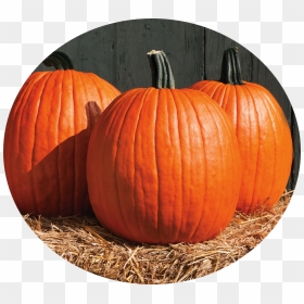 Pumpkin - Our National Vegetable Of India, HD Png Download - face painting png