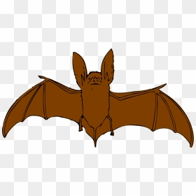 Animal Clipart Bat - Brown Bat Clipart, HD Png Download - bat wings png