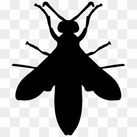Wasp Silhouette - Svg Insect Silhouette Free, HD Png Download - wasp png